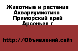 Животные и растения Аквариумистика. Приморский край,Арсеньев г.